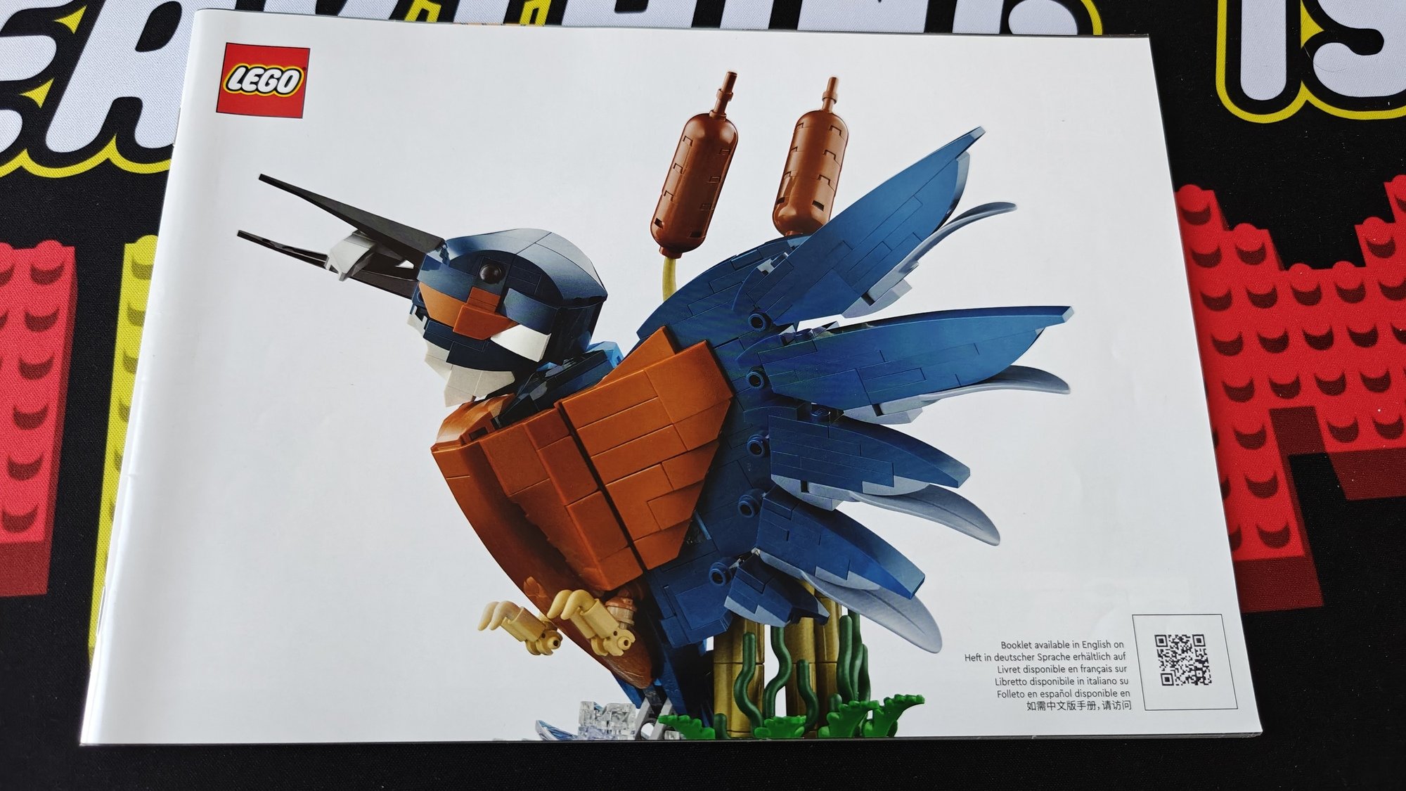 Foto del libretto numero 10331 con il nome Kingfisher (Martin Pescatore)
