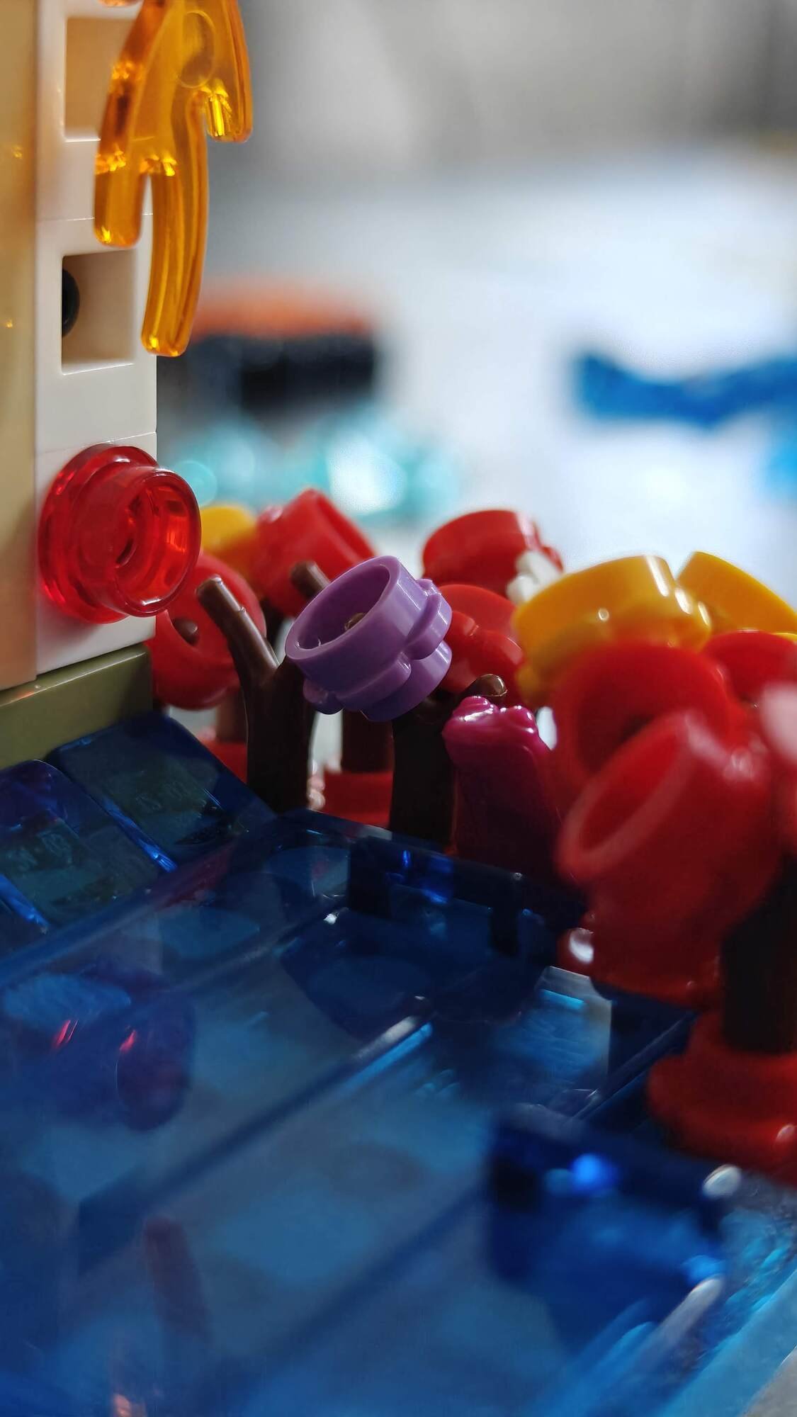 Rana nascosta tra i fiori