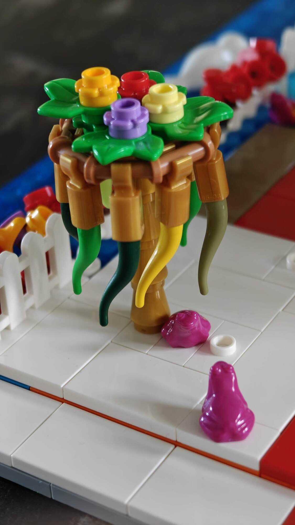 Due rane trovano rifugio presso un albero esotico