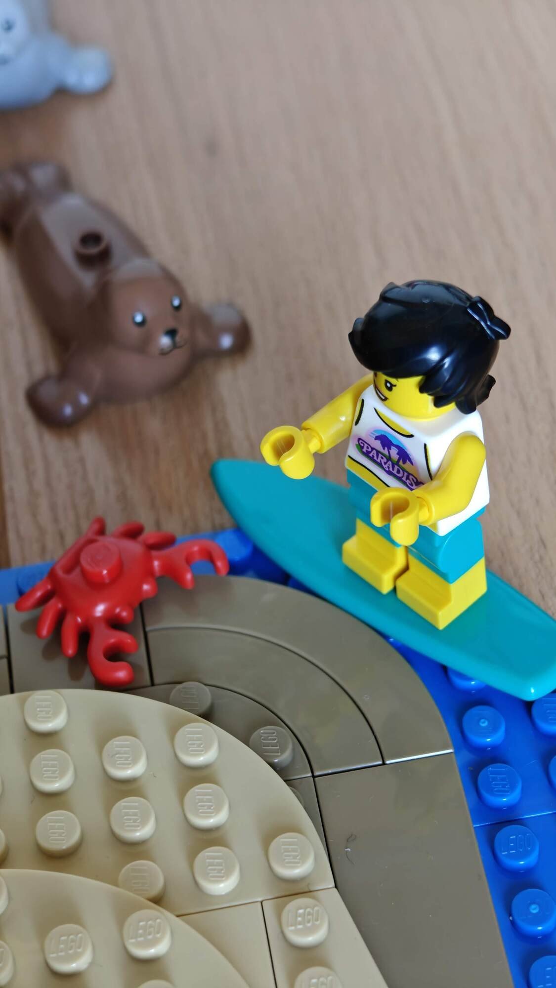 A surfer comes across a crab and a seal