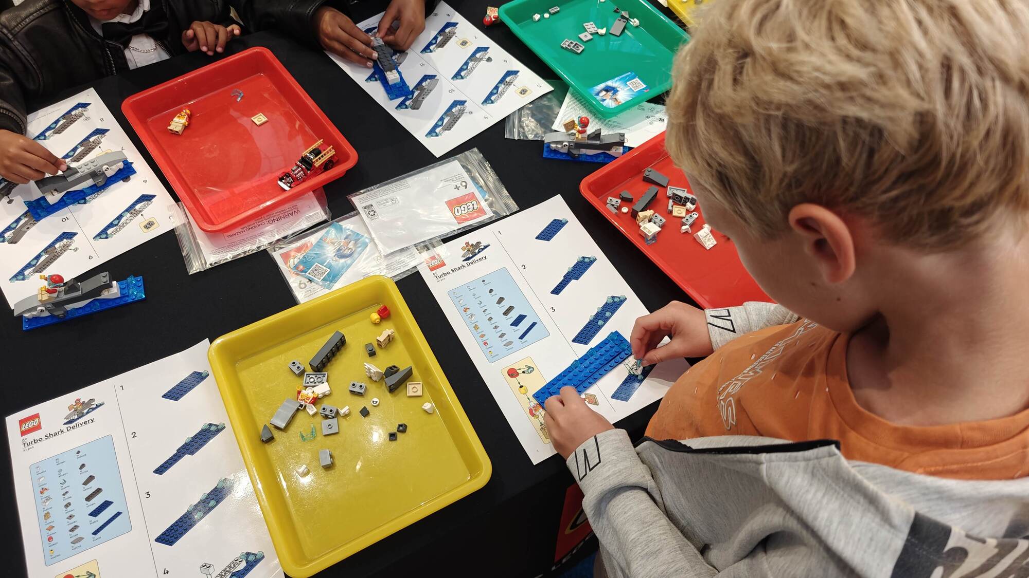 Bricks and LEGO® instructions showing how to build the sets