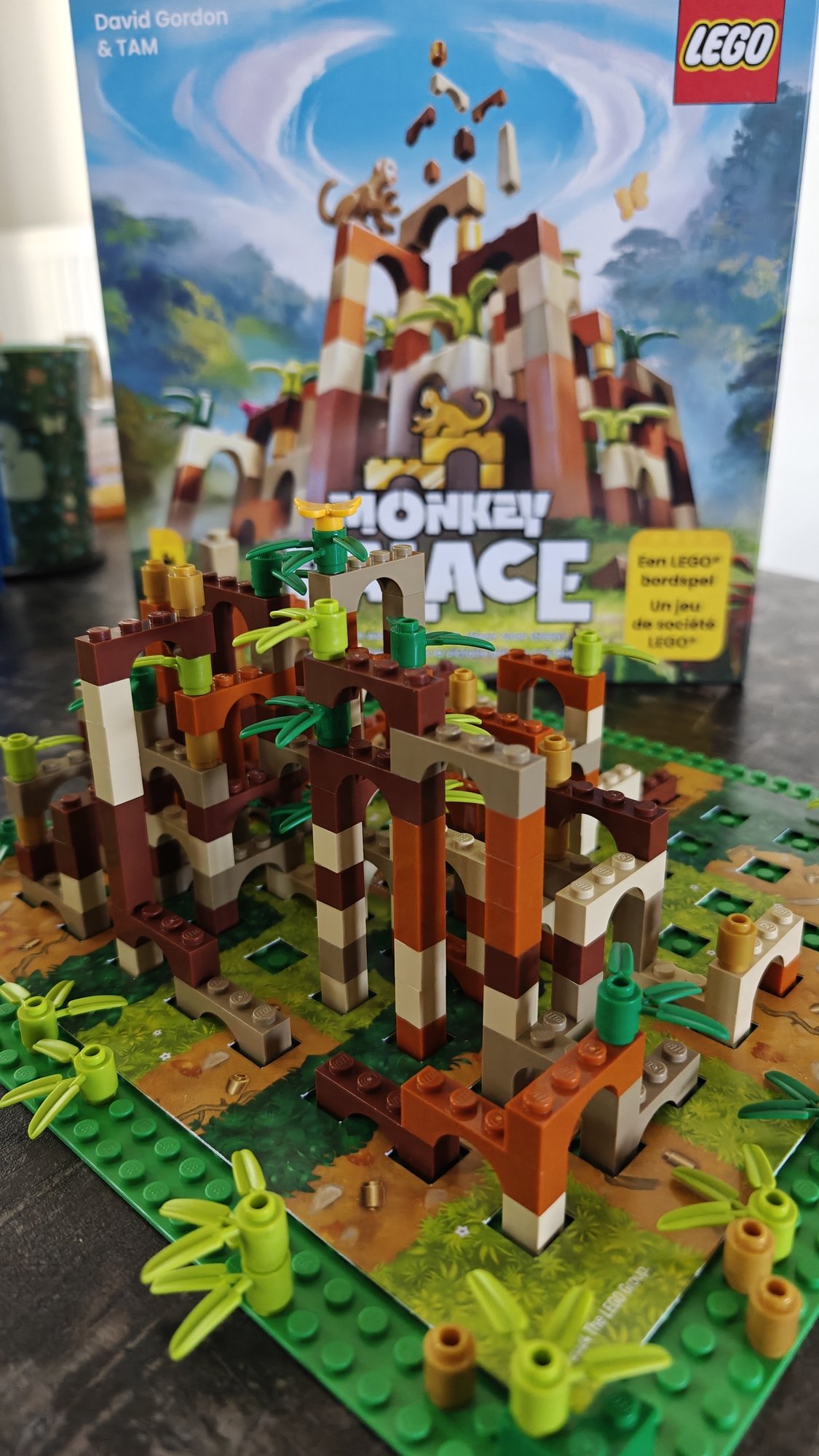 Vue de face du jeu étendu avec la boîte de rangement floue en arrière-plan