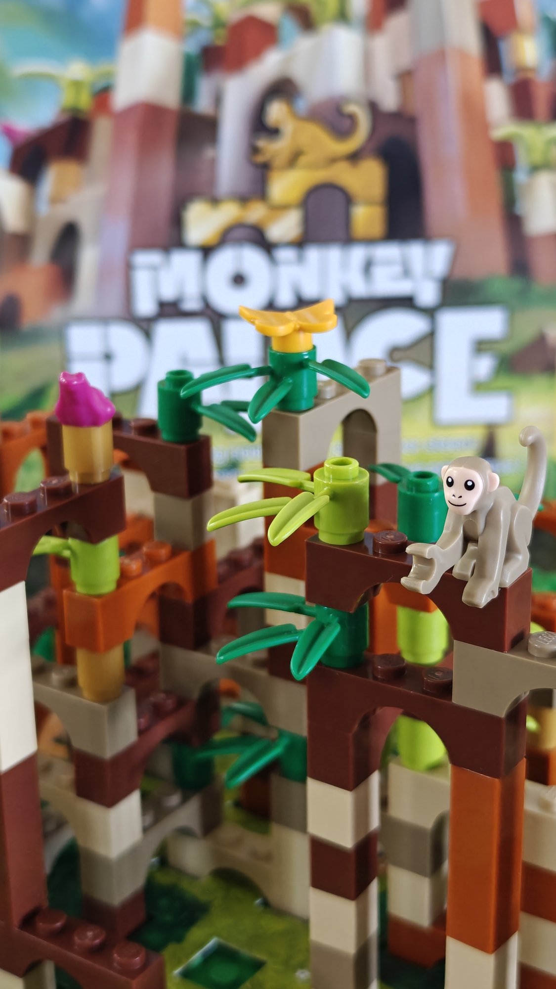 Photo zoomée avec mise au point sur le singe, le papillon et la grenouille placés sur des blocs de construction