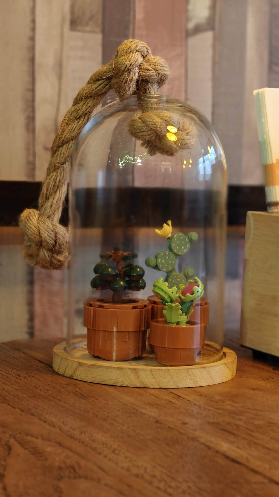 LEGO® botanical cacti in a glass jar on a dining table