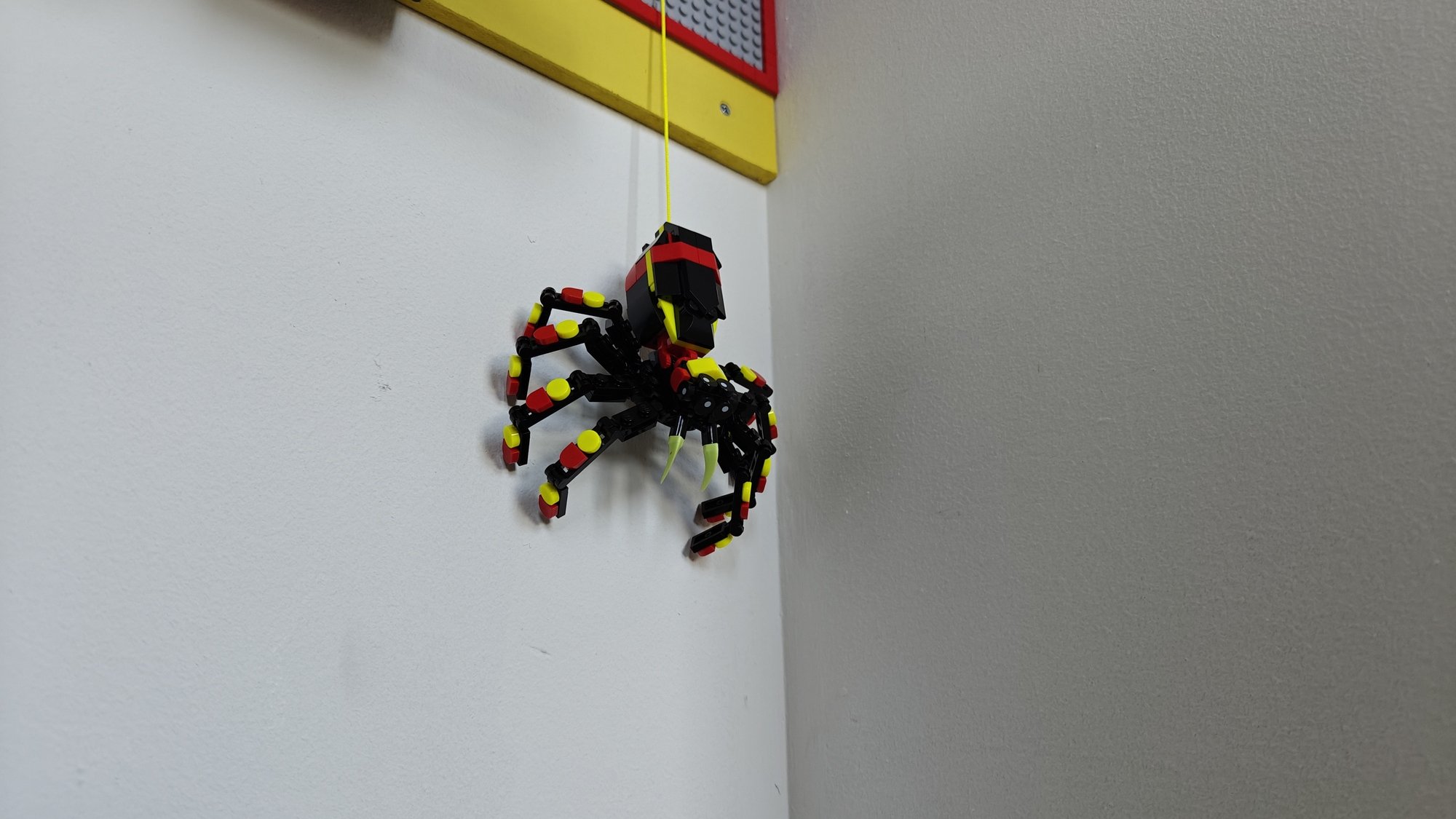 Spider emerges from the wall
